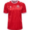 MAILLOT DANEMARK DOMICILE 24/25