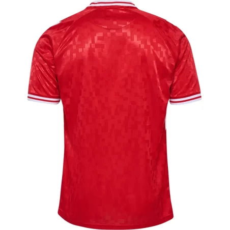 MAILLOT DANEMARK DOMICILE 24/25