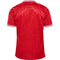 MAILLOT DANEMARK DOMICILE 24/25