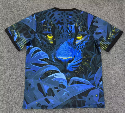 Maillot 25/26 Brésil Spécial